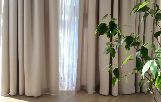 Curtain